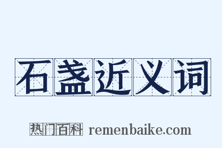 石盏近义词是什么意思的图片